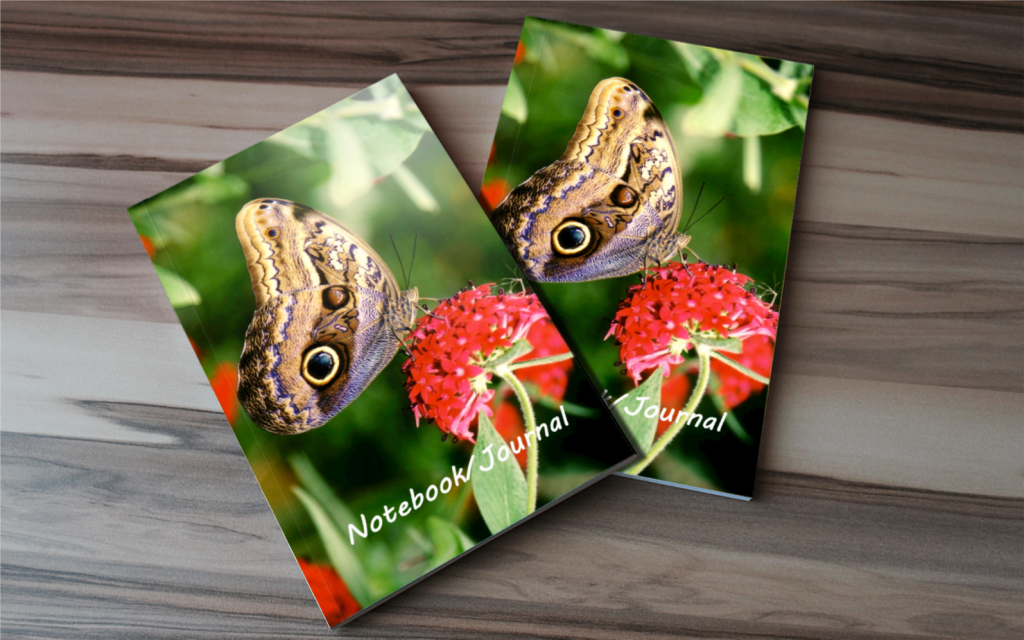 Owl Butterfly Notebook - Owl Butterfly Journal