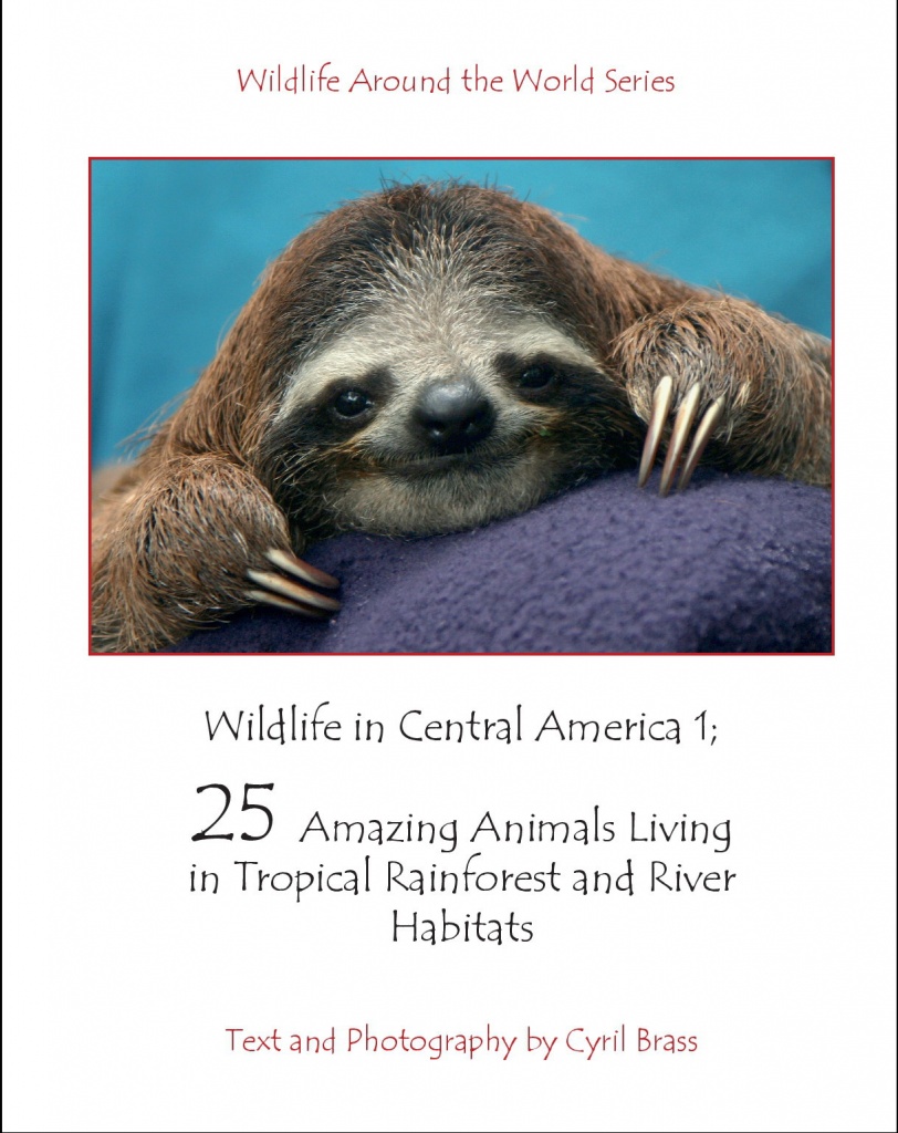 Wildlife in Central America 1 Photo Book - Wildlife In Central America 1 - Front Page