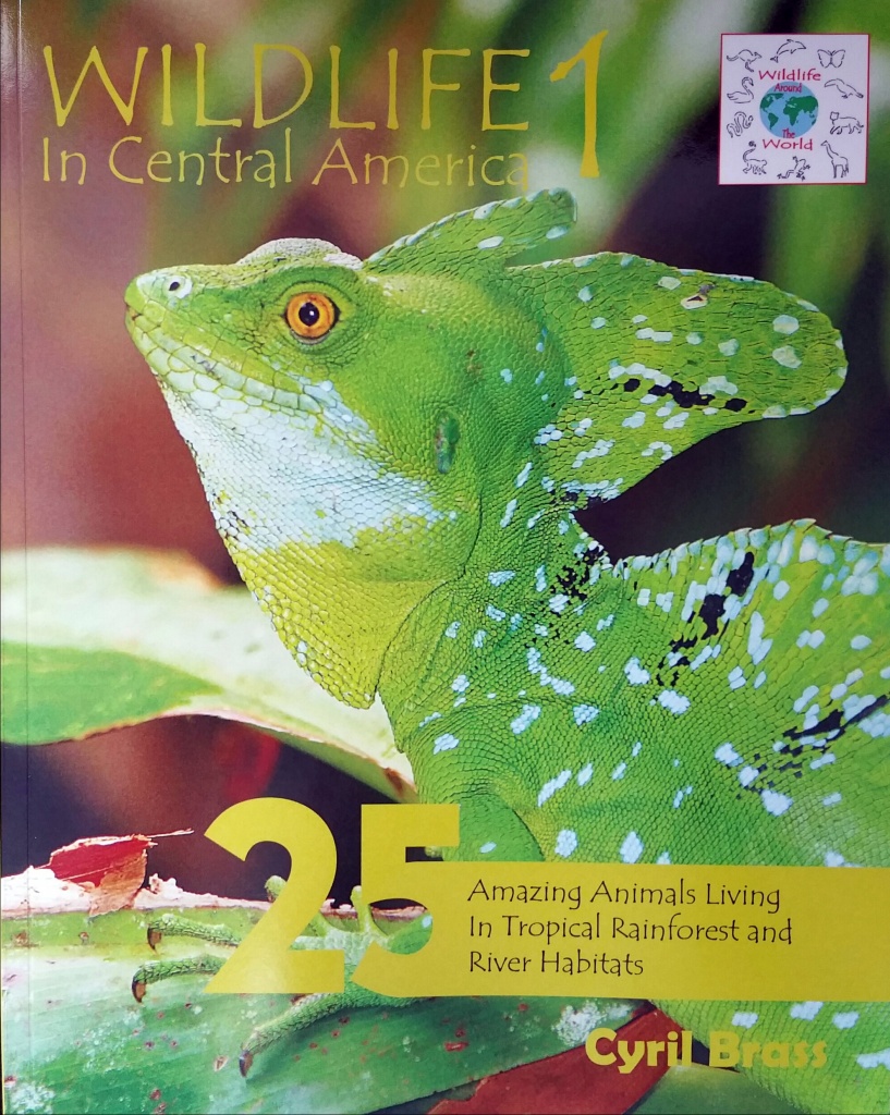 Green Iguana and Ctenosaur - Wildlife In Central America 1 - front cover