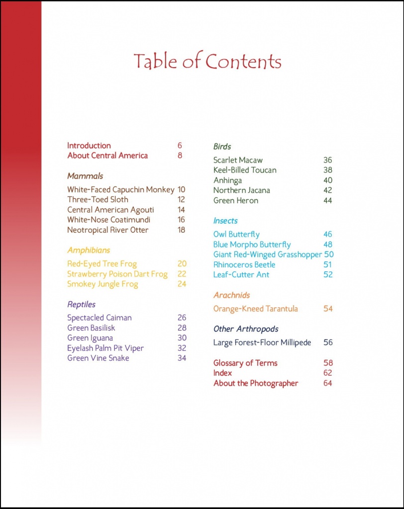 Scarlet Macaw and Great Green Macaw - Wildlife in Central America 1 - Table of Contents