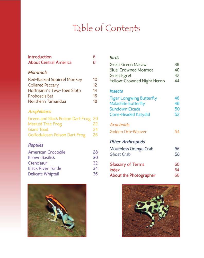 Caimans and Crocodiles - Wildlife in Central America 2 - Table of Contents